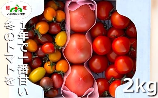 鈴鹿山麓トマト「ハウス桃太郎」、「レッドオーレ」、「カラフルミニ」の3種詰め合わせ（合計2kg入り）【トマト ミニトマト 採れたて 自然 栽培 水耕栽培 野菜 甘い あまい おいしい 美味しい 三重県 四日市市 ふるさと納税】