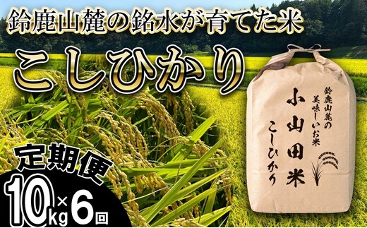 ＜定期便＞【令和8年度】新米 こしひかり（精米）10kg【6ヶ月】鈴鹿山麓の銘水が育てた米l 米どころ 三重県産 小山田地区 小山田米 米 コメ 白米 精米