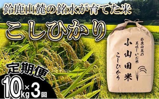 ＜定期便＞【令和8年度】新米 こしひかり（精米）10kg【3ヶ月】鈴鹿山麓の銘水が育てた米l 米どころ 三重県産 小山田地区 小山田米 米 コメ 白米 精米