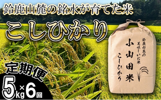 ＜定期便＞【令和8年度】新米 こしひかり（精米）5kg【6ヶ月】鈴鹿山麓の銘水が育てた米l 米どころ 三重県産 小山田地区 小山田米 米 コメ 白米 精米