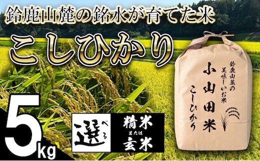 【令和８年産】新米 こしひかり（玄米）5kg 鈴鹿山麓の銘水が育てた米 l 米どころ 三重県産 小山田地区 小山田米 米 コメ 白米 精米