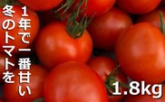 鈴鹿山麓トマト 中玉トマト「レッドオーレ」箱詰め（1.8kg入り）【トマト ミニトマト 採れたて 自然 栽培 水耕栽培 野菜 甘い あまい おいしい 美味しい 三重県 四日市市 ふるさと納税】