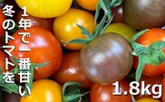 鈴鹿山麓トマト「カラフルミニトマト」箱詰め（1.8kg入り）【トマト ミニトマト 採れたて 自然 栽培 水耕栽培 野菜 甘い あまい おいしい 美味しい 三重県 四日市市 ふるさと納税】
