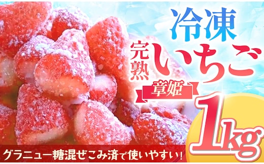 冷凍完熟手摘みいちご（章姫）不揃い 1kg 砂糖入り 農園直送 イチゴ 苺 冷凍いちご 果物 スイーツ デザート フルーツ アイス ジャム シャーベット ベリー 氷菓 甘い 果実 あまい 三重県 多気町 FR-13