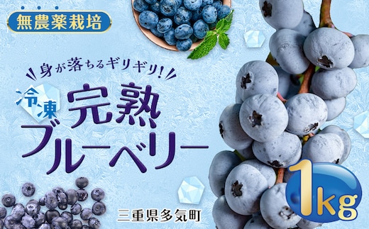 FR-01 無農薬栽培 冷凍完熟ブルーベリー1ｋｇ