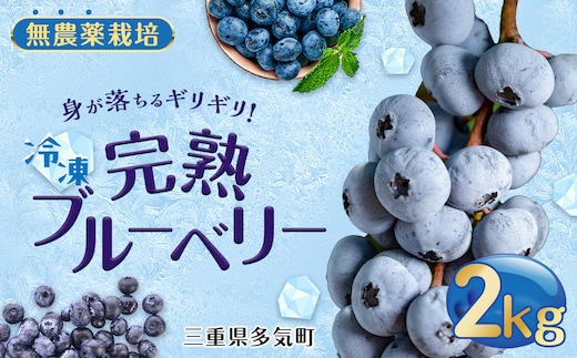FR-02 無農薬栽培 冷凍完熟ブルーベリー2ｋｇ