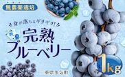 FR-01　無農薬栽培　冷凍完熟ブルーベリー1ｋｇ