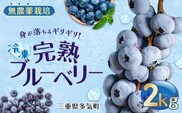 FR-02　無農薬栽培　冷凍完熟ブルーベリー2ｋｇ
