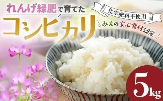 令和7年産 コシヒカリ 10kg こしひかり 米 精米 コメ FY-03-2025