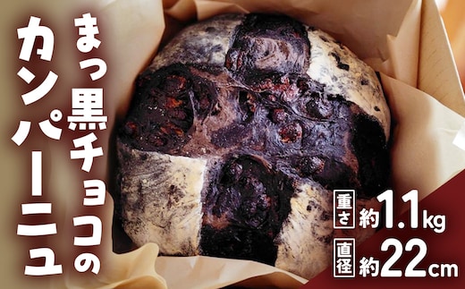 自家製天然酵母を使ったまっ黒チョコのカンパーニュ 【HTR-01】
