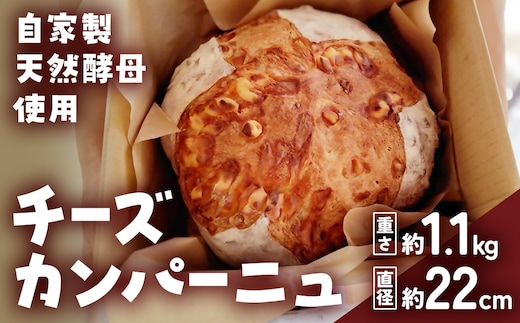 自家製天然酵母を使ったチーズカンパーニュ 【HTR-02】