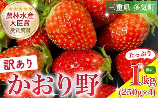 （小粒）農林水産大臣賞受賞農園からお届けする 訳アリ かおり野 1kg（250ｇ×4Ｐ）/いちご ISH-02