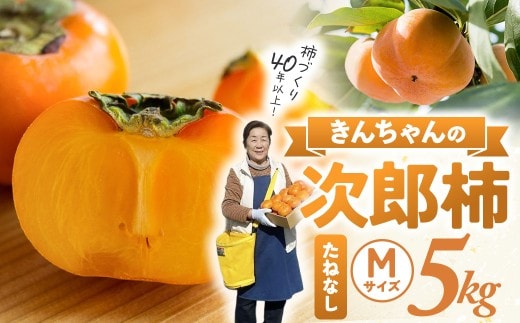 【先行予約】三重県多気町産 次郎柿 5kg（たねなし）｜柿づくり40年！きんちゃん農園の甘柿 柿 かき フルーツ KCN-01
