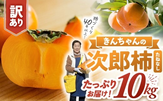 柿づくり40年！きんちゃん農園の訳あり次郎柿 大人気 10kg | 種無し たねなし 柿 フルーツ 果物 くだもの カキ かき 産地直送 家庭用 フードロス 秋の味覚 旬 三重県 多気町 まろやか 食べやすい 種なし柿 やさしい 甘さ 大容量 こだわり 11月 秋 旬 自宅用 グルメ お取り寄せ わけあり柿 訳アリ KCN-03
