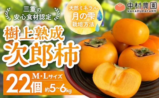 【2026年秋発送】三重の安心食材認定！中村農園の次郎柿 M・Lサイズ 22個 (約5～6㎏) 先行予約 先行 予約 柿 カキ かき 減農薬 安心 贈答 果物 くだもの フルーツ 三重県 多気町 NN-03