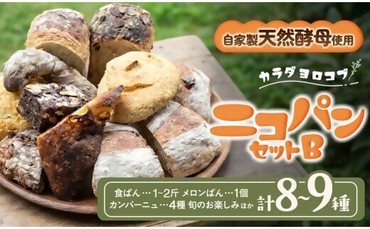 NP-02 カラダヨロコブ天然酵母のニコパンセットB
