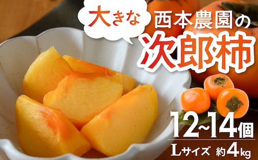 【先行予約・2026年 秋 発送】西本農園の次郎柿 NS-01 