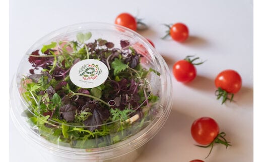 PF-06 食卓彩るしあわせサラダセット（3人前）