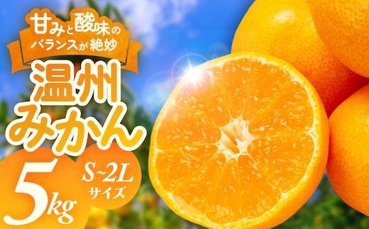 三重県多気町産 みかん S～2Lサイズ 5kg 先行予約 先行 フルーツ みかん 柑橘 果物 温州みかん ミカン 蜜柑 三重県 多気町 SN-02