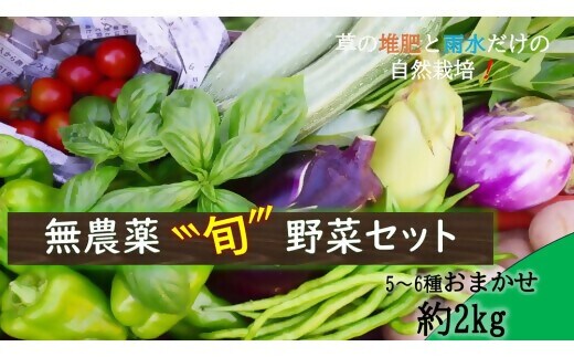 【無農薬セット】草の堆肥と雨水だけの自然栽培で育てた旬の固定種野菜セット 【TSN-01】