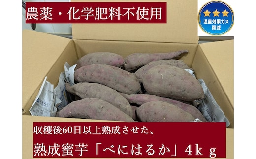 農薬・化学肥料不使用 温室効果ガス削減に貢献しながら、のどかな畑で大切に育てた 熟成 蜜芋 サツマイモ（紅はるか）４ｋｇ S～LLサイズ混合 TFN-01