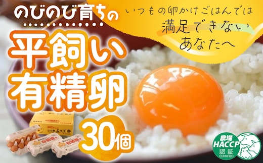 のびのび育ちの平飼い有精卵 30個 （10個入×3P） 平飼い 有精卵 たまご 卵 玉子 タマゴ 卵 鶏卵 オムレツ 卵 卵かけご飯 たまご焼き 国産 すき焼き 卵 三重県 多気町 JK-03