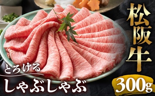 （冷凍）松阪牛 切り落とし 400g < 冷凍 >年内配送可 ( 牛肉 ブランド牛 高級 和牛 国産牛 松阪牛 松坂牛 切り落とし 切りおとし 松阪牛 松阪牛切り落とし 切り落とし牛肉 切りおとし肉 普段使い 自宅用 牛肉 切り落とし 松阪牛切り落とし肉 松阪牛 三重県 多気町 ) UOD-01-02