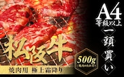 松阪牛 極上霜降り 焼肉用 500g 焼肉のたれ付 極上の柔らかさ 化粧箱入り 柔らかい 松坂牛 松阪肉 高級ブランド牛 イチボ ハネシタ ロース トモサンカク 三角 ミスジ カイノミ 焼き肉 自宅用 贈答品 ギフトA4 A5 特産松阪牛 お歳暮 お中元 牛肉 とろける 和牛 三重県 NTY-10