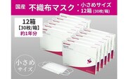SH-06　シャープ製不織布マスク　【小さめサイズ】30枚入×12箱