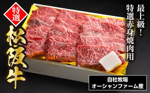 松阪牛焼肉(特選赤身) 500g / 冷凍 ギフト箱包装 瀬古食品 JGAP認定 松阪肉 名産 お取り寄せ 牛肉 お肉 肉 和牛 黒毛和牛 国産 国産牛 松阪牛 ブランド牛 A4ランク 焼肉 焼肉用 ギフト 贈答 産地直送 松阪 牛 特選 赤身 霜降り 三重県 大台町 0034