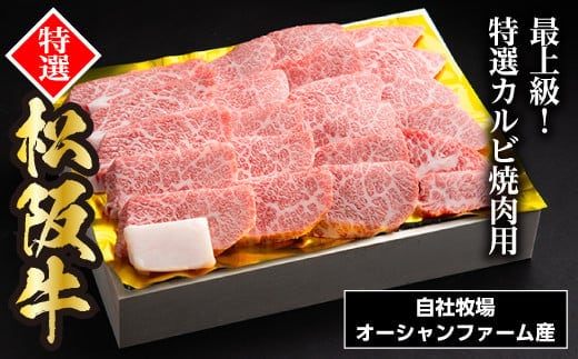 松阪牛焼肉(特選カルビ)500g/ 松阪牛 冷凍 ギフト箱包装 瀬古食品 JGAP認定 松阪肉 名産 お取り寄せ 牛肉 お肉 肉 和牛 黒毛和牛 国産 国産牛 ブランド牛 三角バラ 希少部位 焼肉 焼肉用 ギフト 贈答 産地直送 松阪 牛 特選 カルビ 三重県 大台町 0035