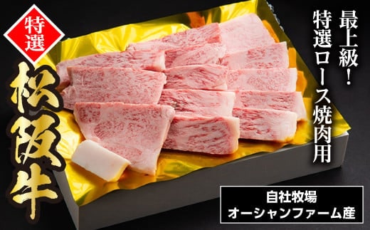 松阪牛焼肉(特選ロース) 500g/ 松阪牛 冷凍 ギフト箱包装 瀬古食品 JGAP認定 松阪肉 名産 お取り寄せグルメ 牛肉 お肉 肉 和牛 黒毛和牛 国産 国産牛 ブランド牛 A4ランク 焼肉 焼肉用 ギフト 贈答 産地直送 松阪 牛 特選 ロース 三重県 大台町 0036