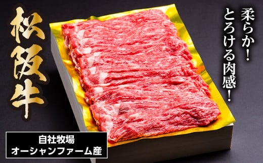 松阪牛 しゃぶしゃぶ用(赤身)500g/ 冷凍 ギフト箱包装 瀬古食品 JGAP認定 松阪肉 名産 お取り寄せグルメ 牛肉 お肉 肉 和牛 黒毛和牛 国産 国産牛 松阪牛 しゃぶしゃぶ 鍋 ブランド牛 ギフト 贈答 産地直送 松阪 牛 赤身 薄切り 三重県 大台町 0037