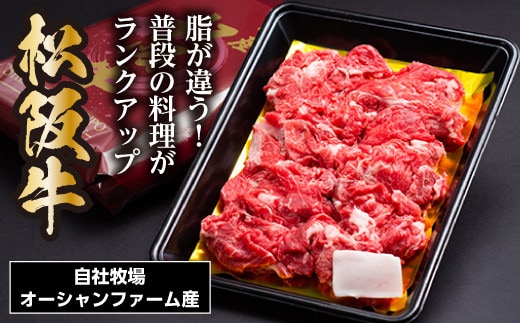 松阪牛 小間切れ 500g / 冷凍 瀬古食品 バラ スネ 松阪肉 名産 お取り寄せグルメ 牛肉 お肉 肉 和牛 黒毛和牛 国産 国産牛 松阪牛 ブランド牛 ご自宅用 家庭用 ギフト 贈答用 産地直送 松阪 牛 こま切れ 炒め物 ストック用 三重県 大台町 0063