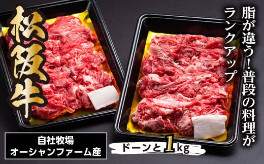 松阪牛 小間切れ 1kg(500g×2P)/ 冷凍 瀬古食品 バラ スネ 松阪肉 名産 お取り寄せグルメ 牛肉 お肉 肉 和牛 黒毛和牛 国産 国産牛 松阪牛 ブランド牛 ご自宅用 家庭用 ギフト 贈答用 産地直送 松阪 牛 こま切れ 炒め物 三重県 大台町 0064