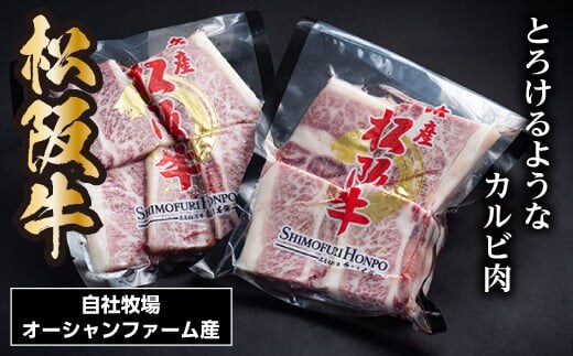 松阪牛 骨付きトロカルビ 約200g×2P/ 冷凍 瀬古食品 JGAP認定 松阪肉 お取り寄せ 牛肉 お肉 肉 和牛 黒毛和牛 国産 国産牛 ブランド牛 骨付きカルビ カルビ 牛カルビ 焼肉 焼肉用 ご自宅用 家庭用 ギフト 贈答用 産地直送 松阪 牛 三重県 大台町 0069