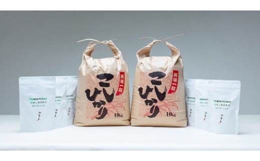 こしひかり 精米 20kg 奥伊勢茶(5g×20)3袋 (2g×40)3袋 / 積木商店 お米 お茶 三重県 大台町 283