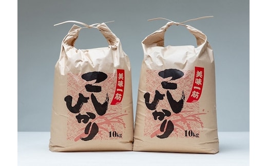 こしひかり 精米 20kg / 積木商店 お米 白米 米 こめ ご飯 おいしいお米 三重県 大台町 284