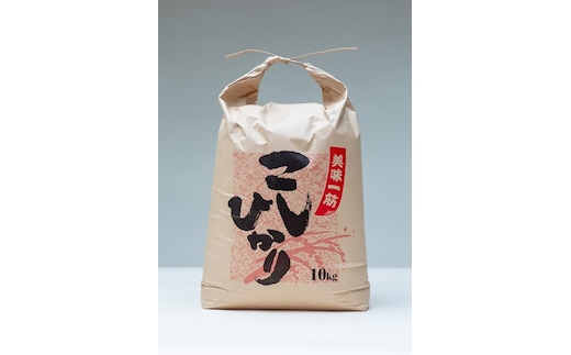 こしひかり 精米 10kg / 積木商店 お米 白米 米 こめ ご飯 おいしいお米 三重県 大台町 286