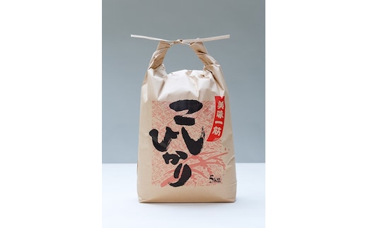 こしひかり 精米 5kg / 積木商店 お米 白米 米 こめ ご飯 おいしいお米 三重県 大台町 288