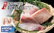 （冷蔵） お刺身 おまかせ セット ２ ～ ３種 約 800ｇ 城水産 朝どれ 刺身 刺し身 鯛 タイ 鰤 ブリ 鮪 マグロ 平昌 ヒラマサ 勘八 カンパチ シマアジ ヒラメ 新鮮 魚 魚介 海鮮 産地直送 国産 三重 南伊勢 伊勢志摩