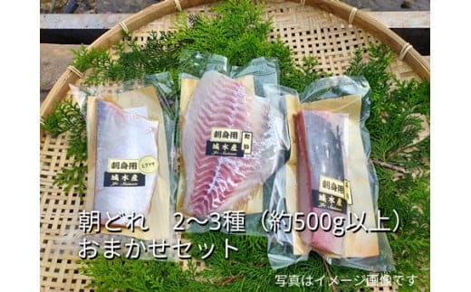 （冷蔵） お刺身 おまかせ セット ２ ～ ３種 約 500ｇ 城水産 朝どれ 刺身 刺し身 鯛 タイ 鰤 ブリ 鮪 マグロ 平昌 ヒラマサ 勘八 カンパチ シマアジ ヒラメ 新鮮 魚介 海鮮 海 産地直送 国産 三重 南伊勢 伊勢志摩