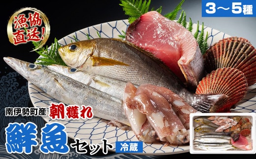 （冷蔵）漁協直送！ 南伊勢町産 3～5種 朝獲れ鮮魚セット／三重外湾漁業組合 お刺身 新鮮 詰合せ おいしい とれたて 旬 三重県 伊勢志摩