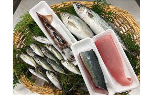 （冷蔵）漁協直送！ 南伊勢町産 6～8種 朝獲れ鮮魚セット／三重外湾漁業協同組合 お刺身 新鮮 詰合せ おいしい とれたて 旬 三重県 伊勢志摩
