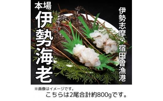 （冷凍） 伊勢志摩産 活〆伊勢海老 2尾 姿造り 生食用 （L） ／ 丸池 伊勢えび イセエビ 特産 三重県 南伊勢町 伊勢志摩