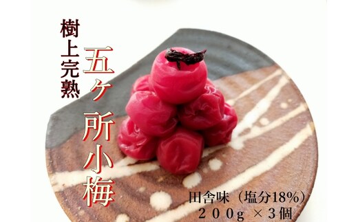 梅干し 五ヶ所小梅 田舎味２００g ３個 計 600g 無添加 樹上 完熟 とろける 塩分 18% ないぜ しぜん村 ふるさと 納税 うめ 梅 ume 手作り うめぼし 伊勢志摩 三重県 南伊勢町