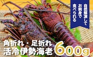 バタバタしたら角と足がとれちゃいました　活冷伊勢えび　2～4尾（600g）〈訳あり(不揃い)〉【BB25】