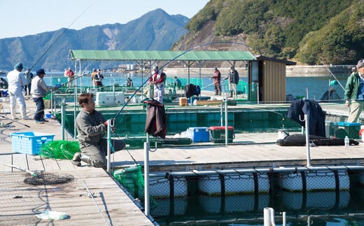 海上釣り掘・貞丸 利用券（割引券）【A19】