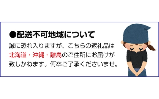 先行予約】みえ南紀１号 ご家庭用 S-Lサイズ混合 たにぐち農園の超極