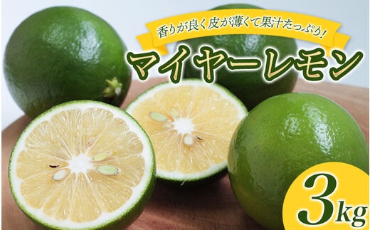 はぎファームのマイヤーレモン ３kg 【2025年10月～2026年1月下旬の期間で順次発送】 / レモン 国産 マイヤーレモン 数量限定 【hgf001A】